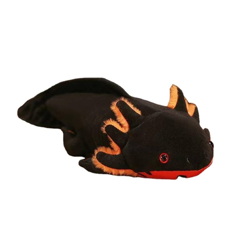 美少年ぬいぐるみ 6体セット TWS ちびぐるみ YOUNGJAE ヨンジェ ほわぬい アクスタ トレカ